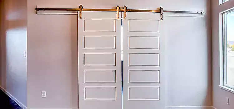 Glass Barn Door with Installation Hardware Kit Rockledge