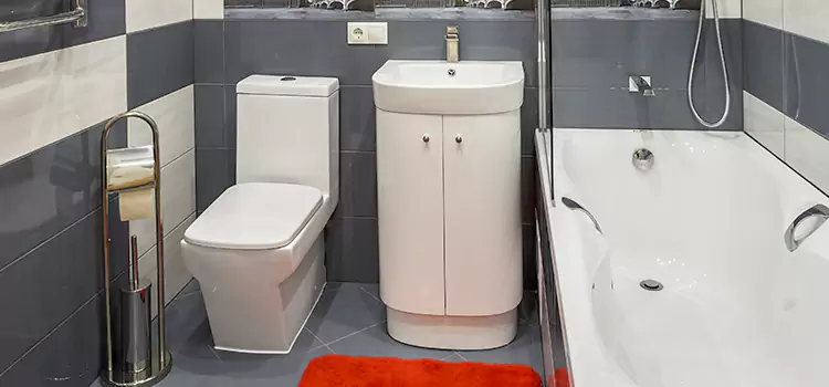 Hansgrohe Shaving Mirror Rockledge
